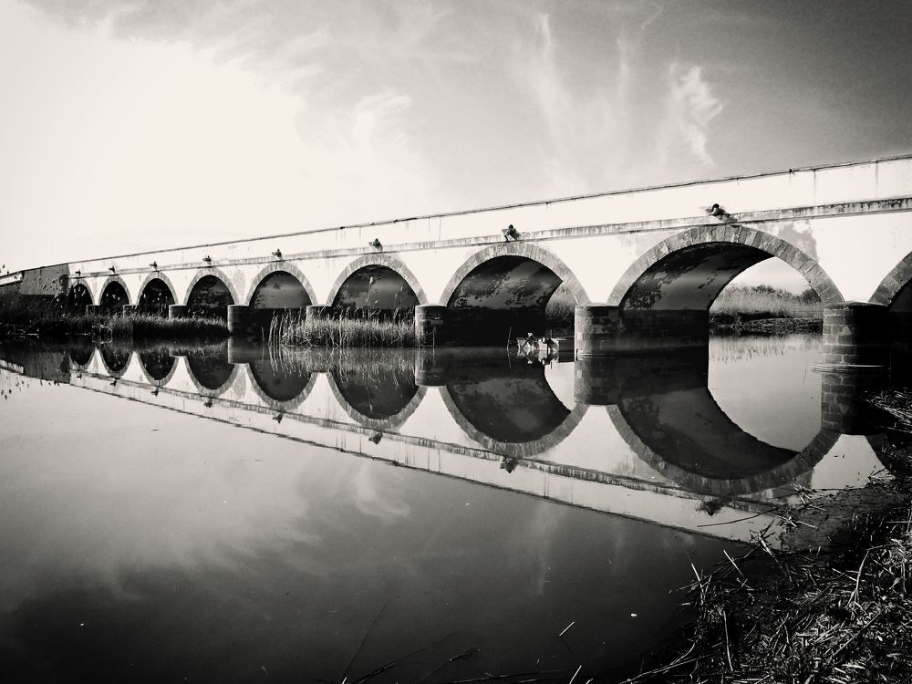 Photograph by Eperjessy Adrian