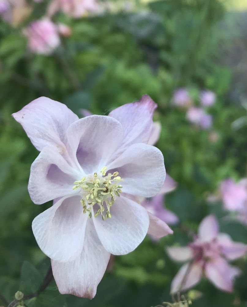 Photograph by Болдырева Ольга