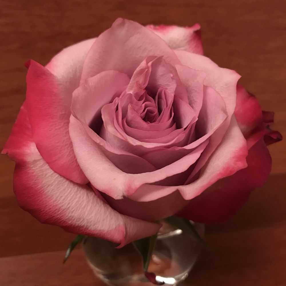 Photograph by Болдырева Ольга