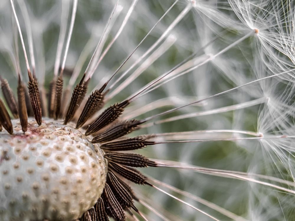 Photograph by Дмитрий Костяков