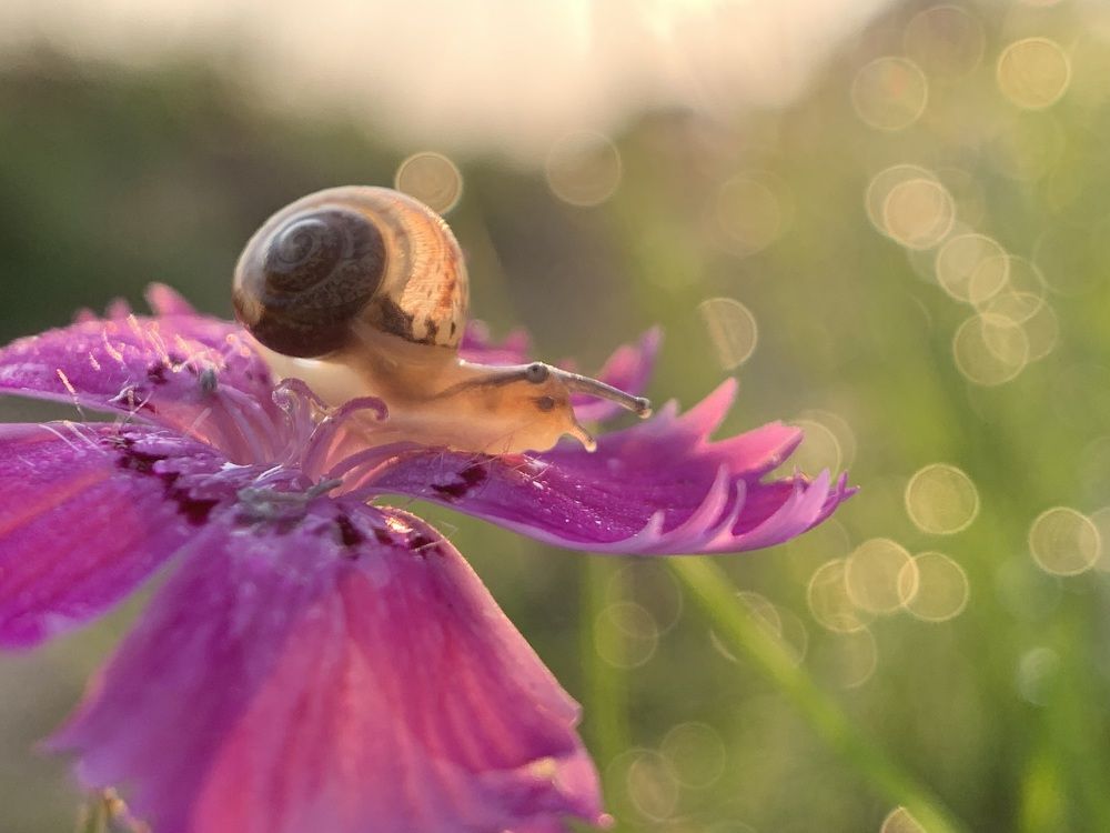 Photograph by Дмитрий Костяков