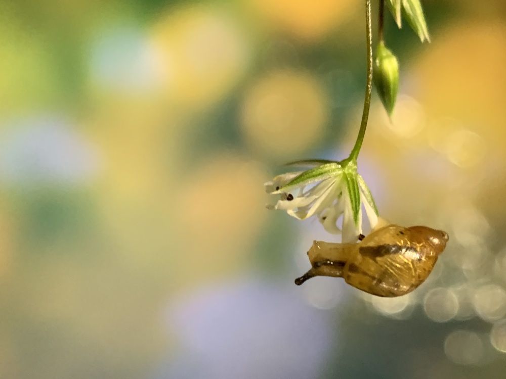 Photograph by Дмитрий Костяков