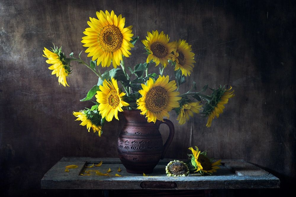 Photograph by Анна Иванова