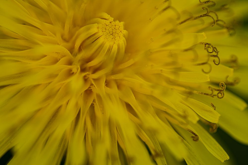 Photograph by Елена Берсенёва