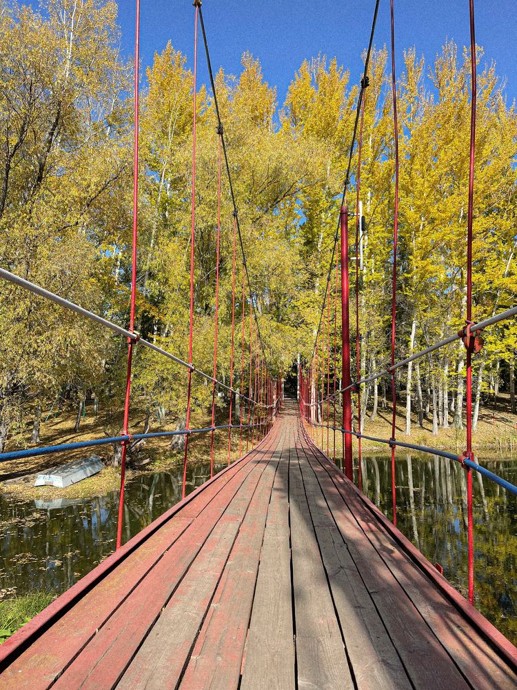 Photograph by Светлана Смук