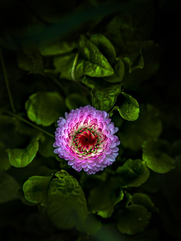 Photograph by Игорь Толкачев