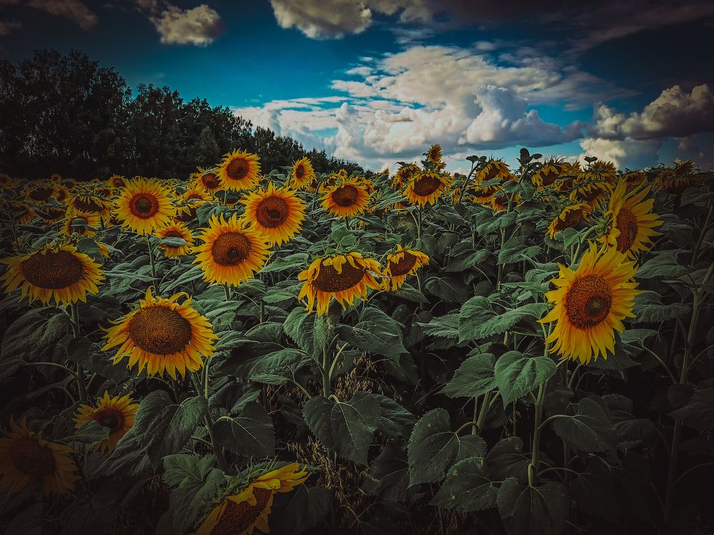 Photograph by Евгений Сеничев