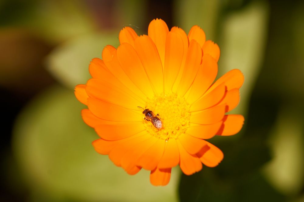 Photograph by Igor Kochkin