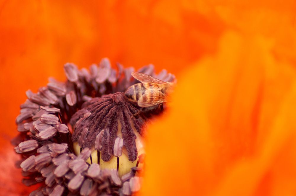 Photograph by Igor Kochkin