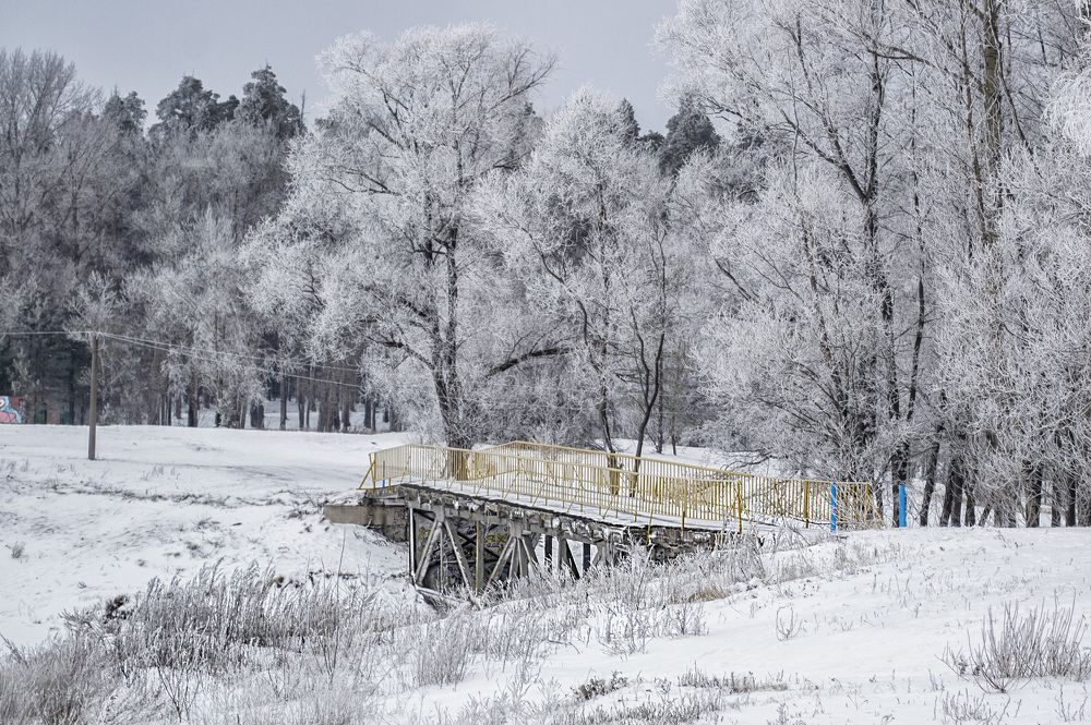 Photograph by Цветков Сергей