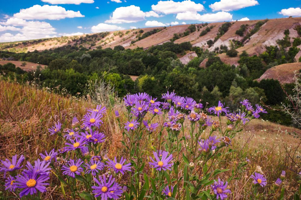 Photograph by Алла Никушкина