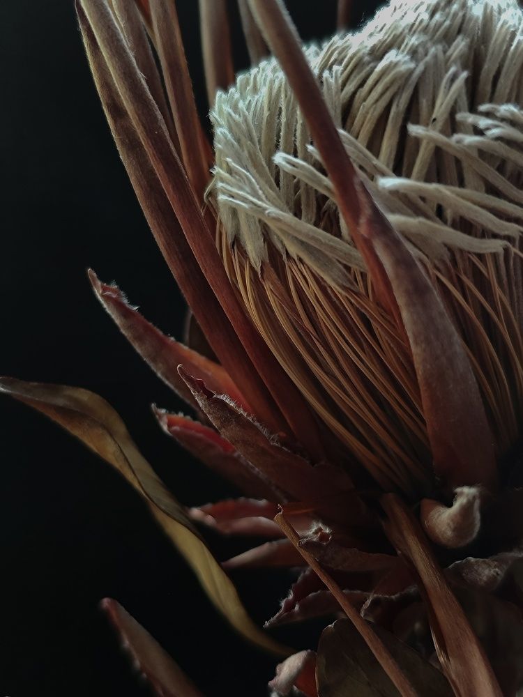 Photograph by Natalia Sopoćko