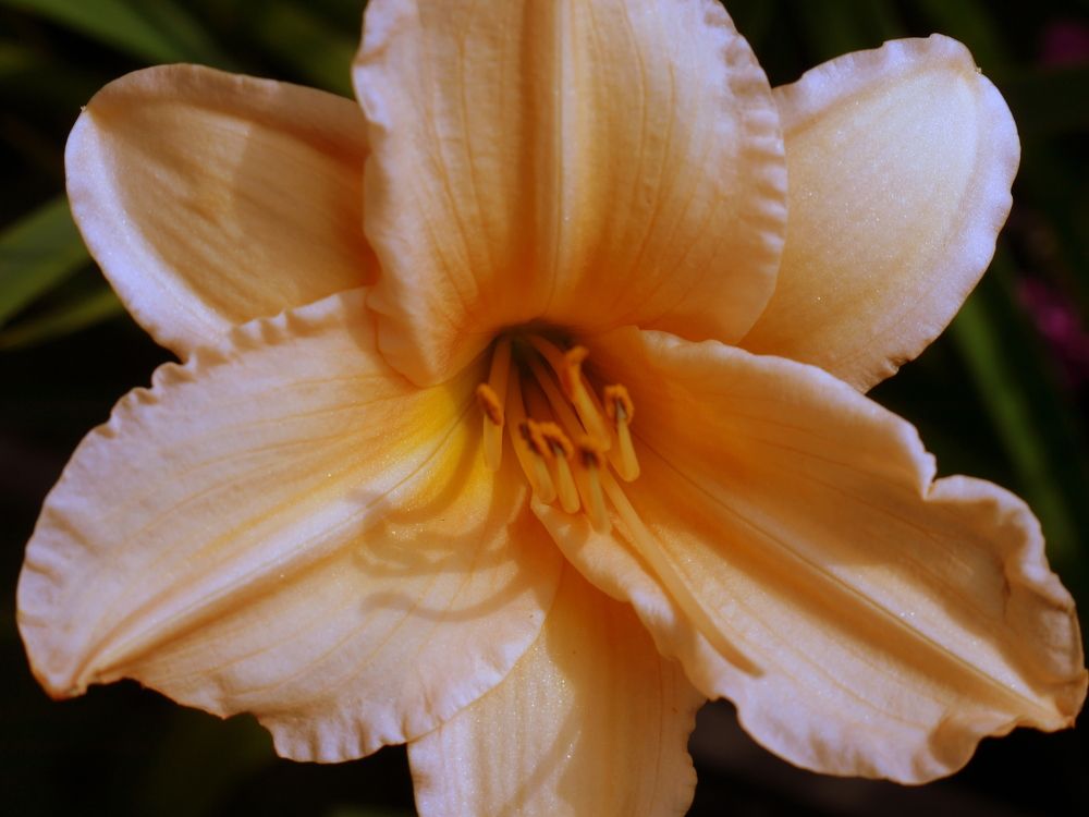 Photograph by A