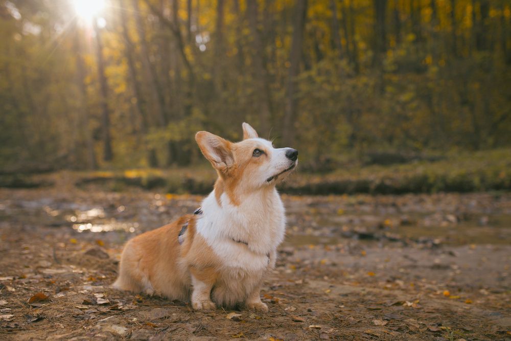 Photograph by Анна Полушина