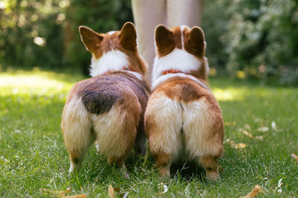 Photograph by Анна Полушина