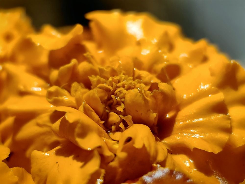 Photograph by Евгения Гриднева