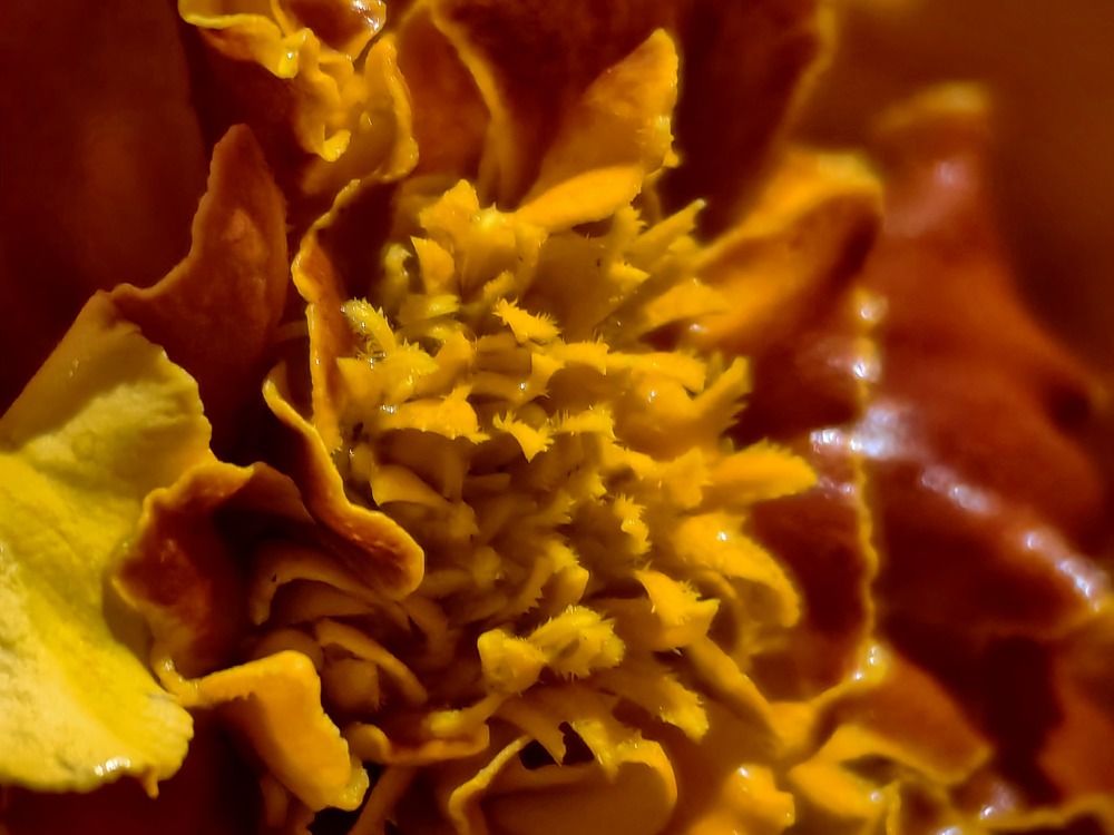 Photograph by Евгения Гриднева