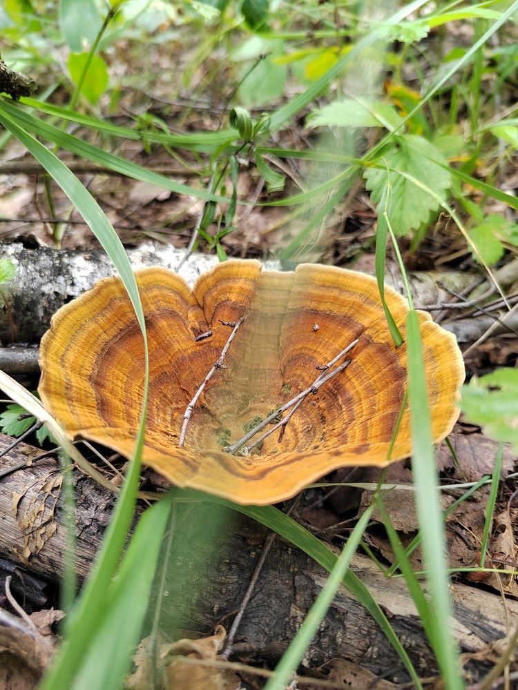 Фотография автора Ирина