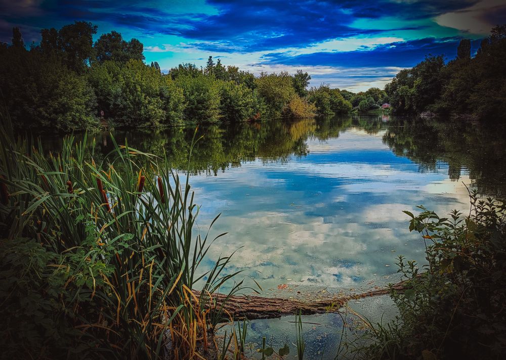 Photograph by Евгений Сеничев