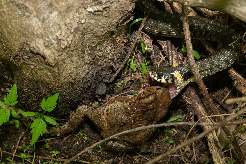 Photograph by Николай Абрамов