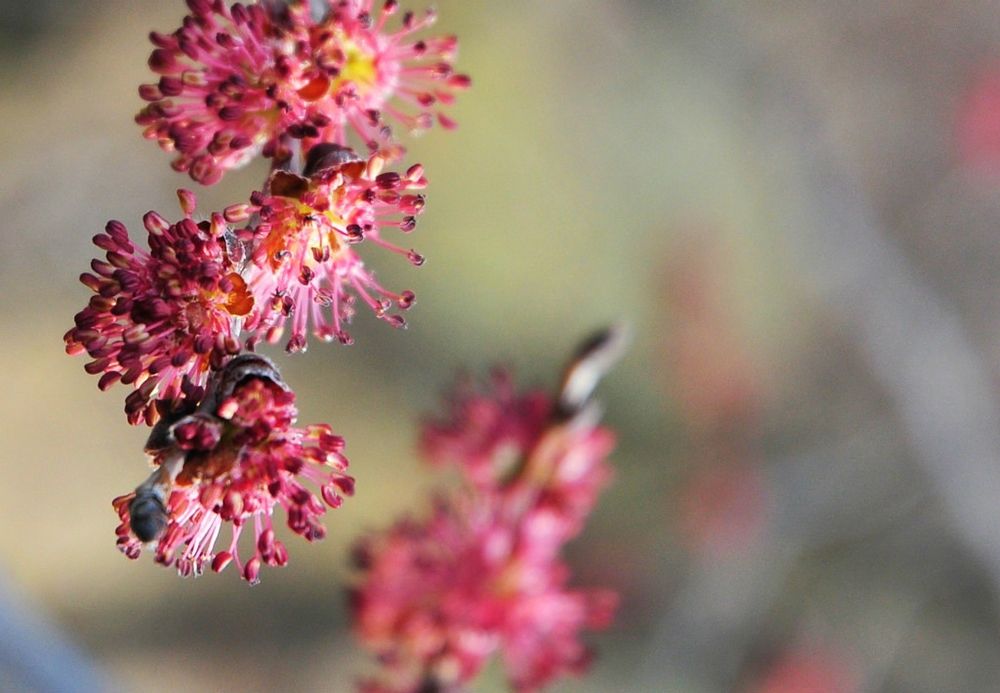 Photograph by Павел Бутенко