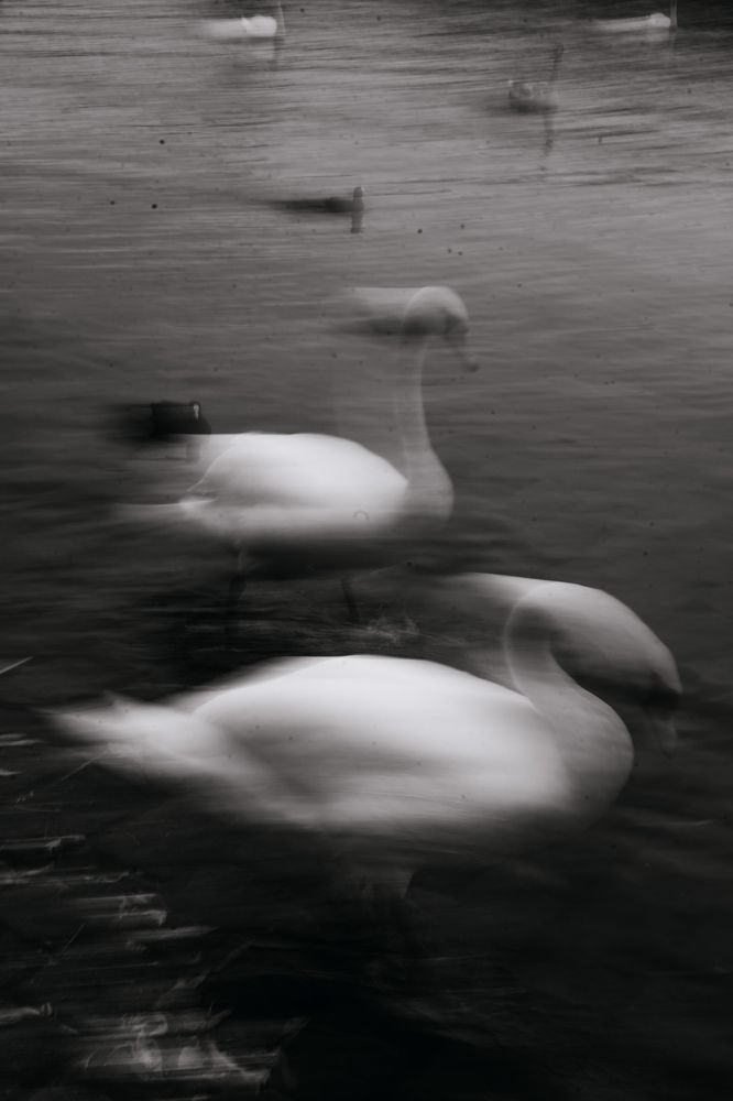 Photograph by Olga Tiurina