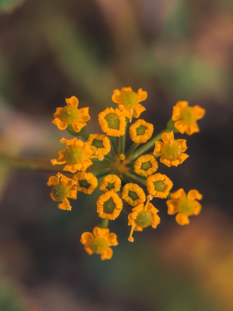 Photograph by Алия Латыйпова