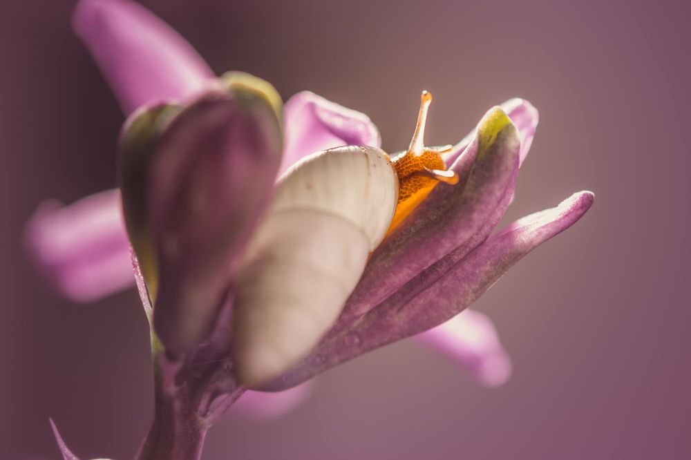 Photograph by Ольга Ильина