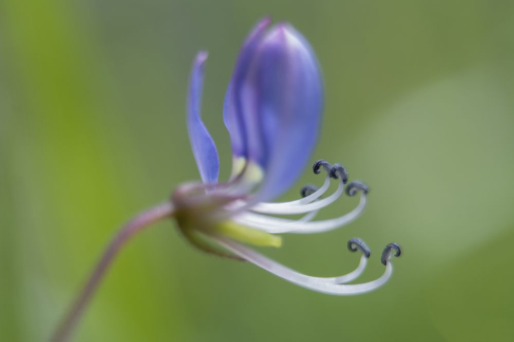 Photograph by Shehan Dondeenu