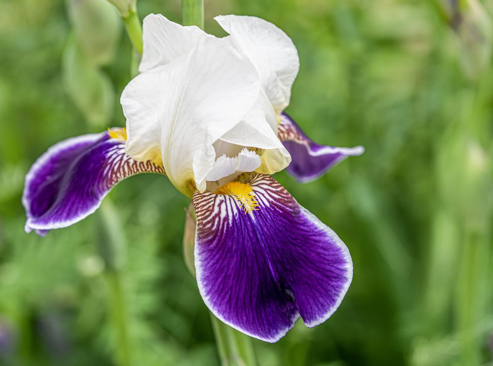 Photograph by Мария Паина