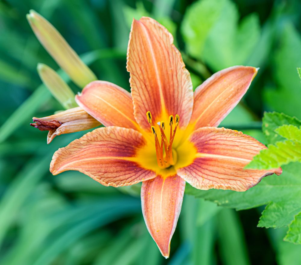 Photograph by Мария Паина