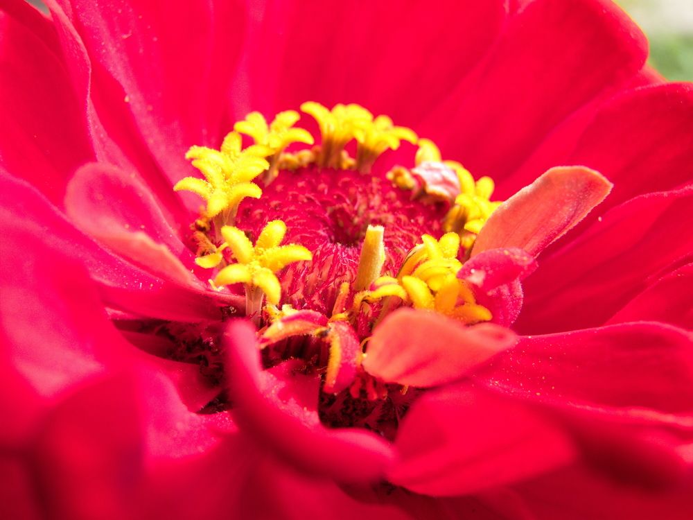 Photograph by Юрий Сычев