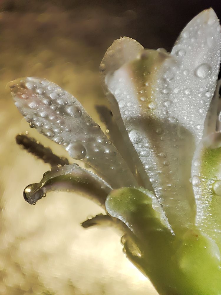 Photograph by Елена Болдырева