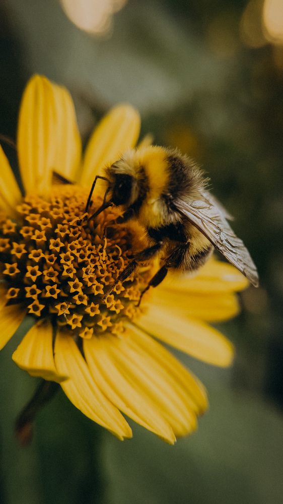 Photograph by Екатерина