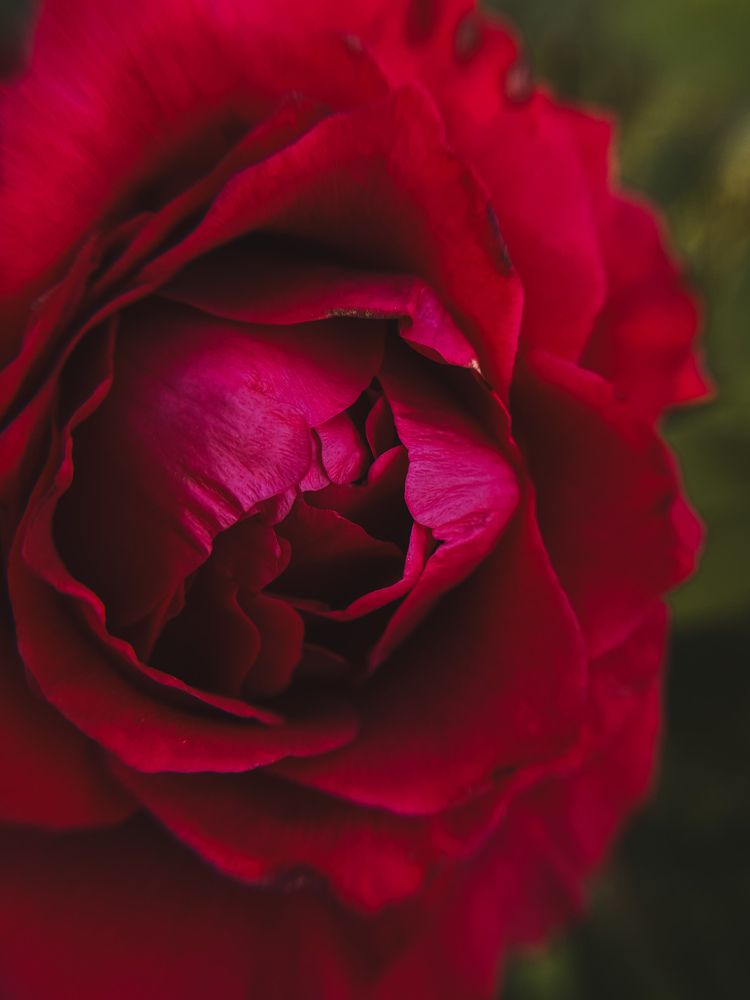 Photograph by Екатерина