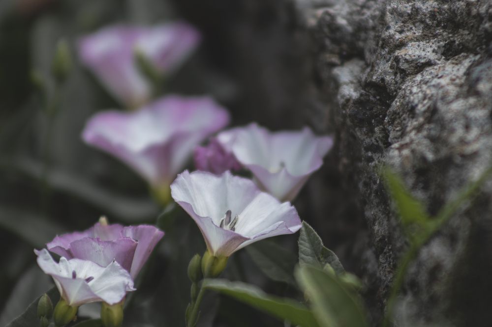 Photograph by Светлана Тарханова