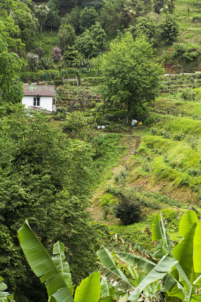 Photograph by Майя Чехова