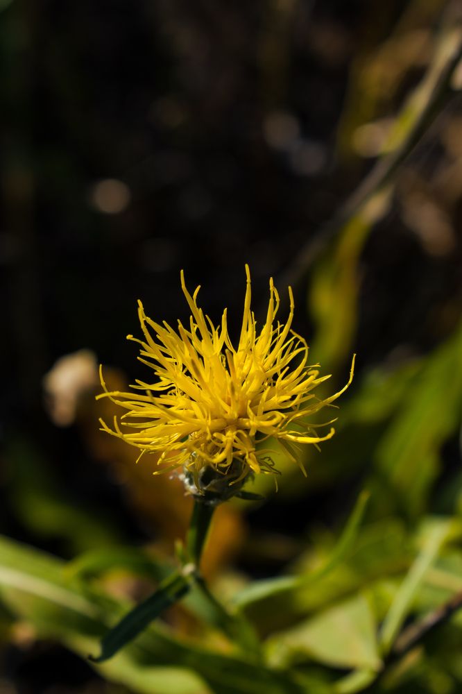 Photograph by Kanat Amre