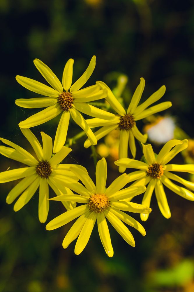 Photograph by Kanat Amre