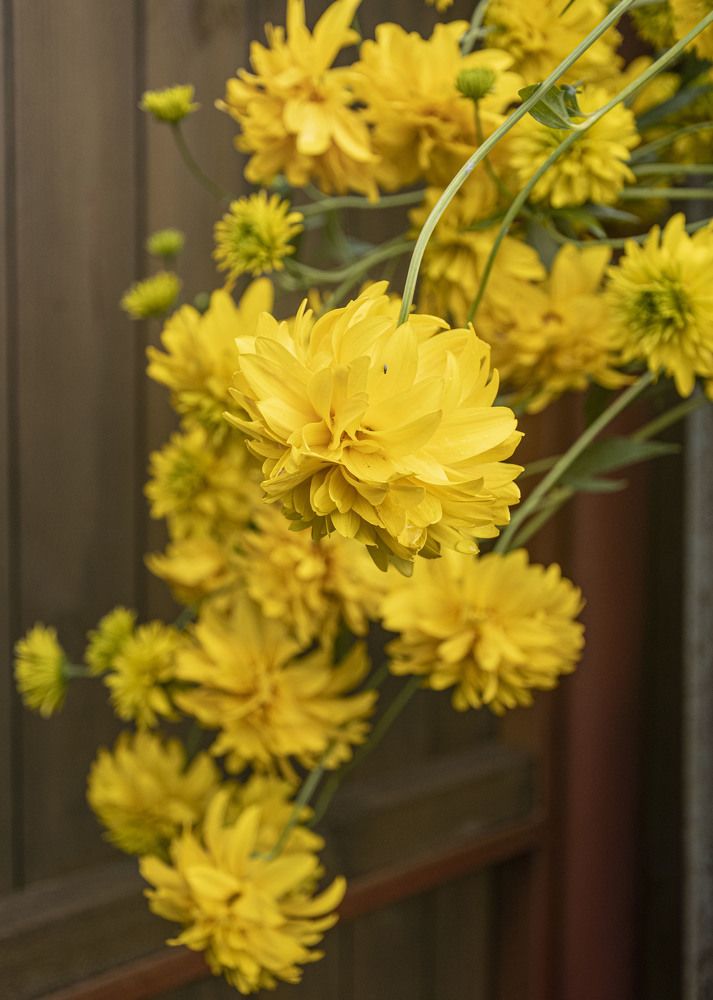 Photograph by Екатерина @Arigata