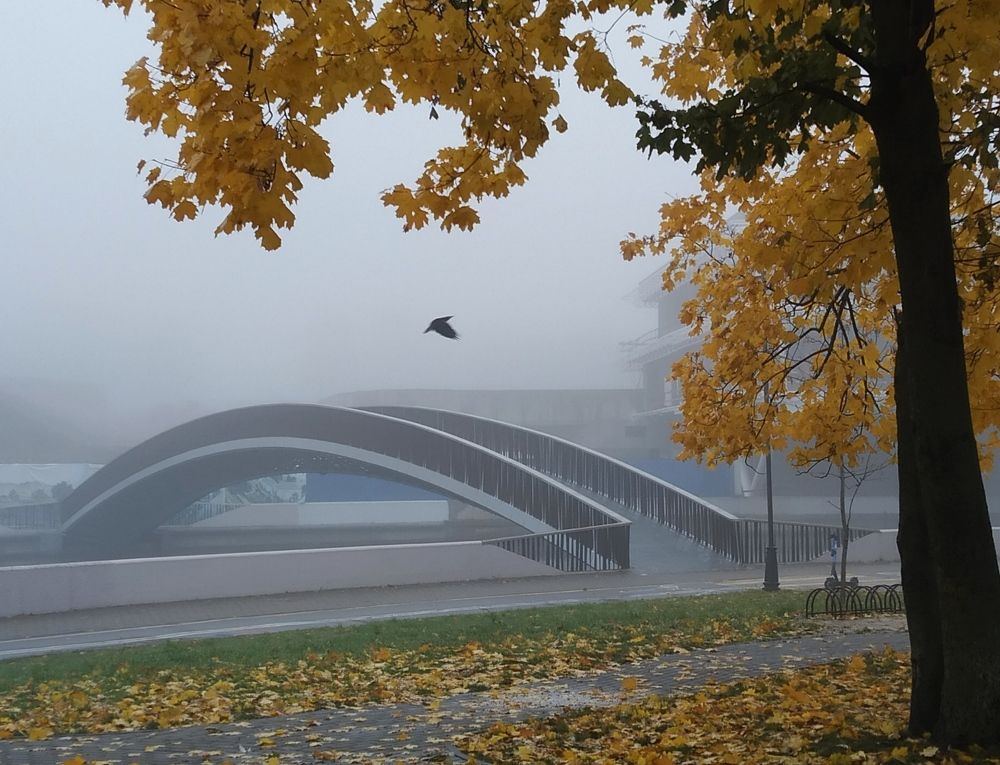 Photograph by Владимир Воложинский