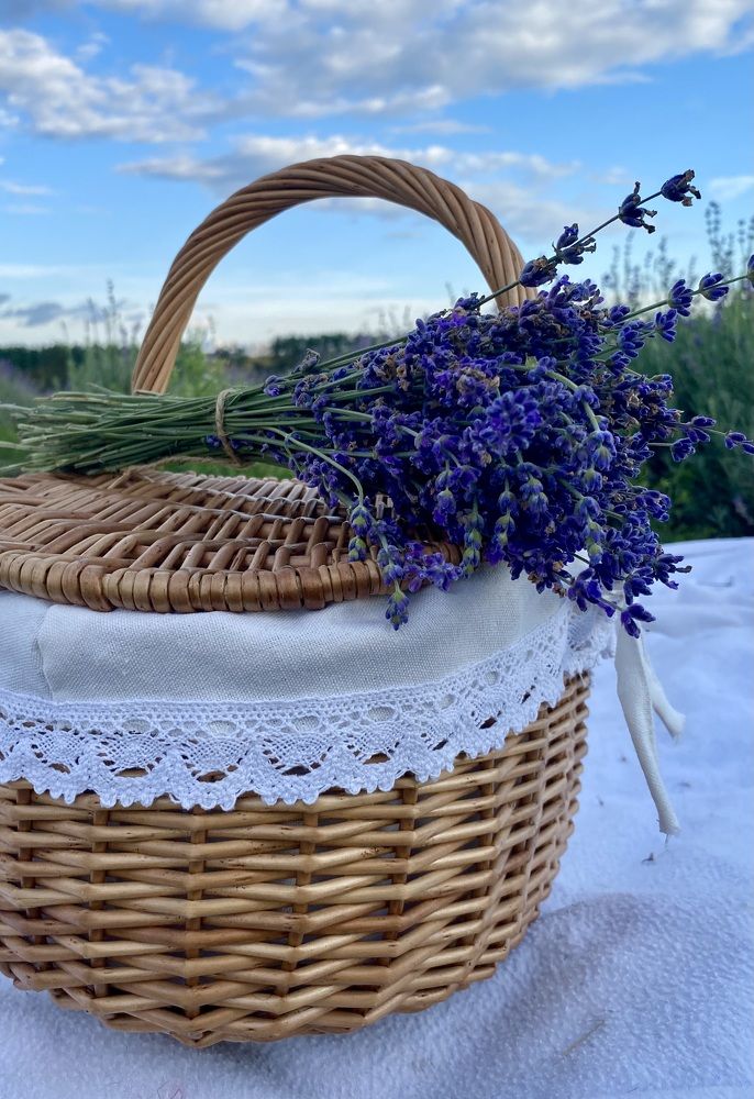 Photograph by Елена