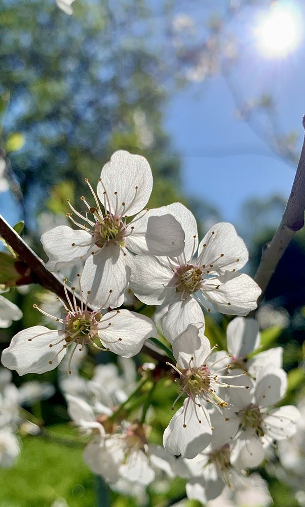Фотография автора Борис Соколов