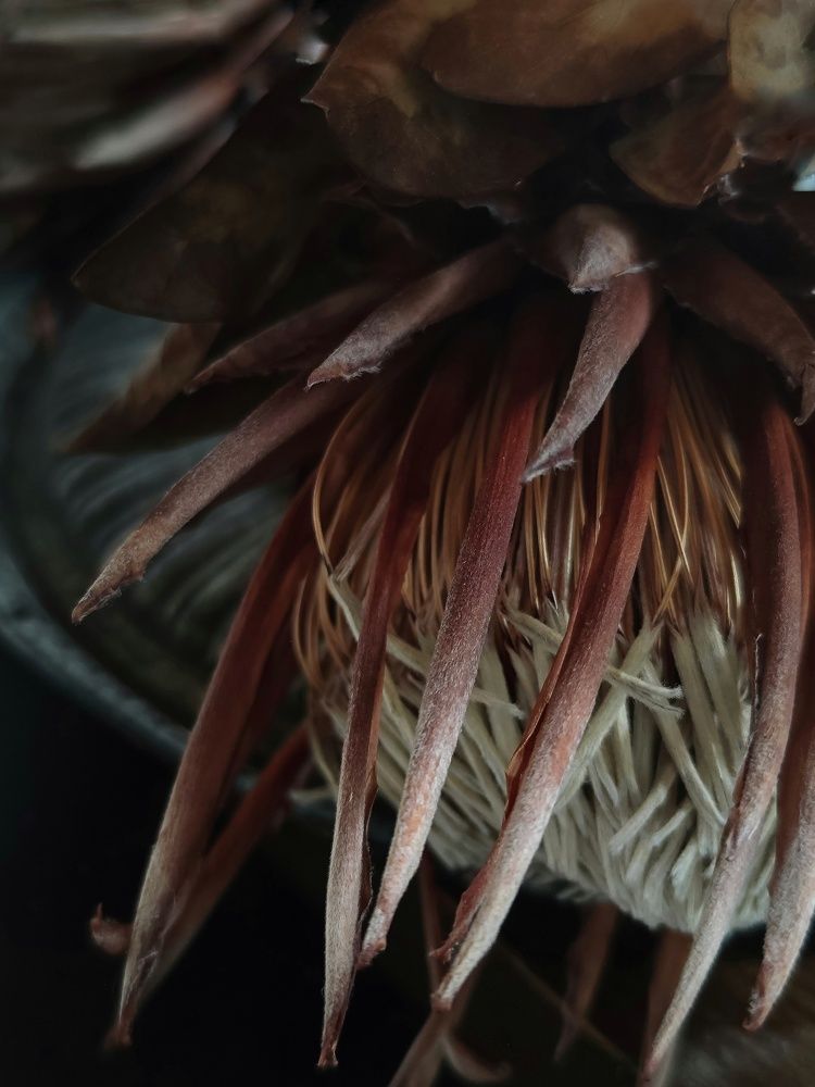 Photograph by Natalia Sopoćko