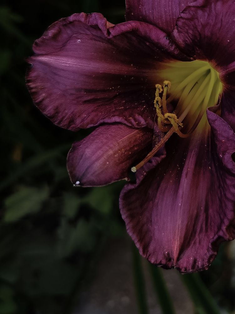 Photograph by Natalia Sopoćko