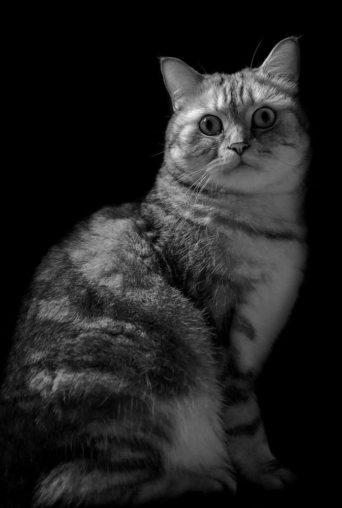 Photograph by Евгений Пятков