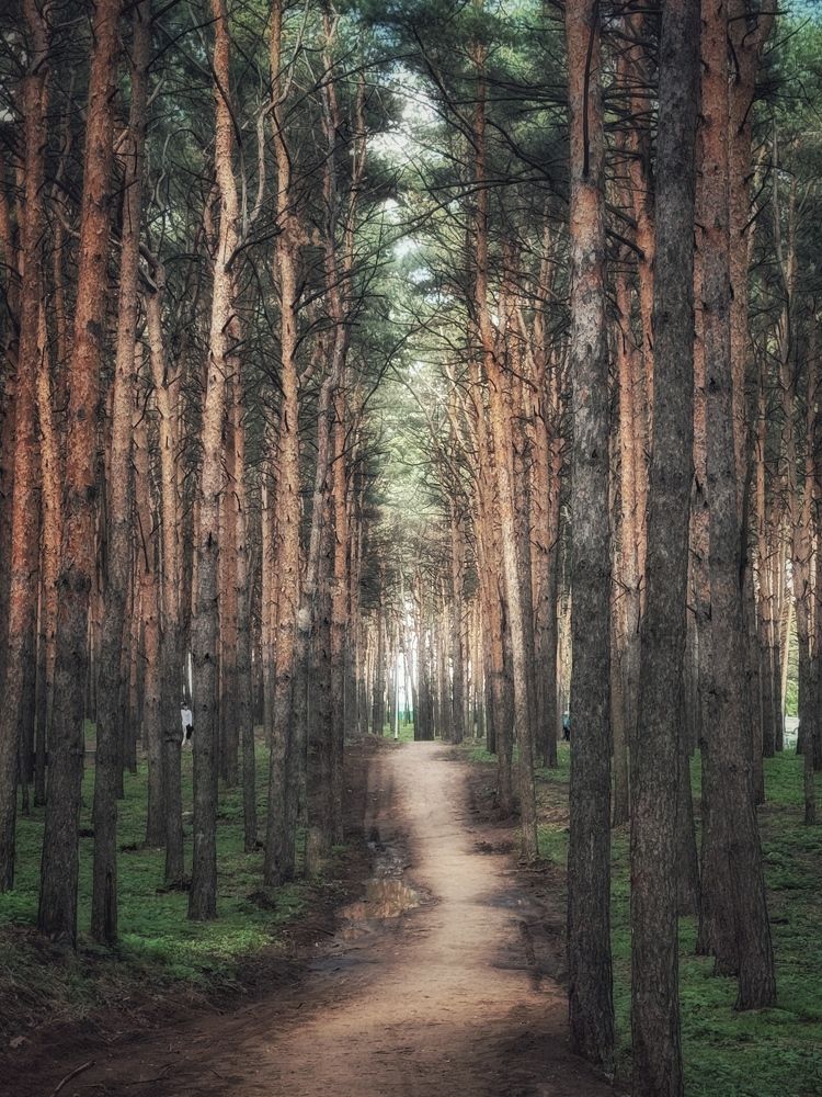 Photograph by Кира Бахвалова