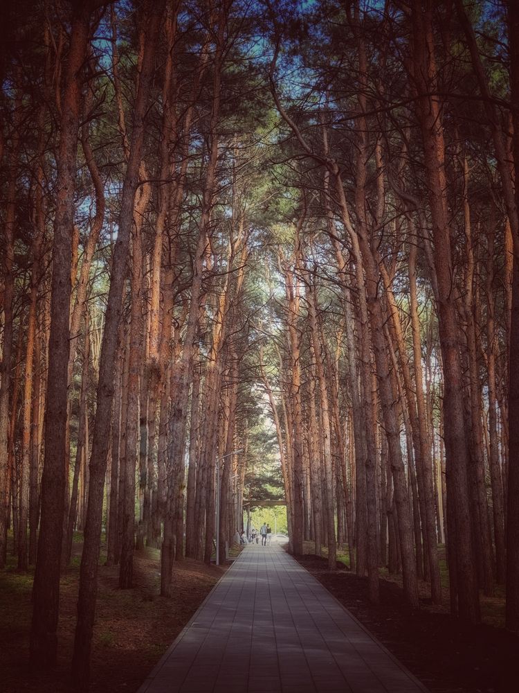 Photograph by Кира Бахвалова