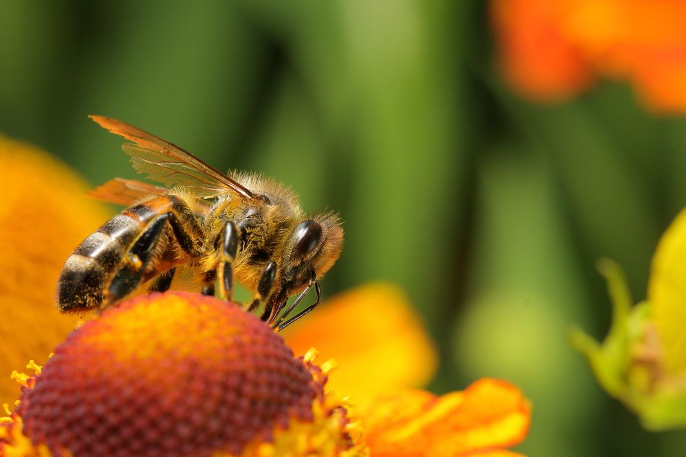 Photograph by Виктор Ноговицин