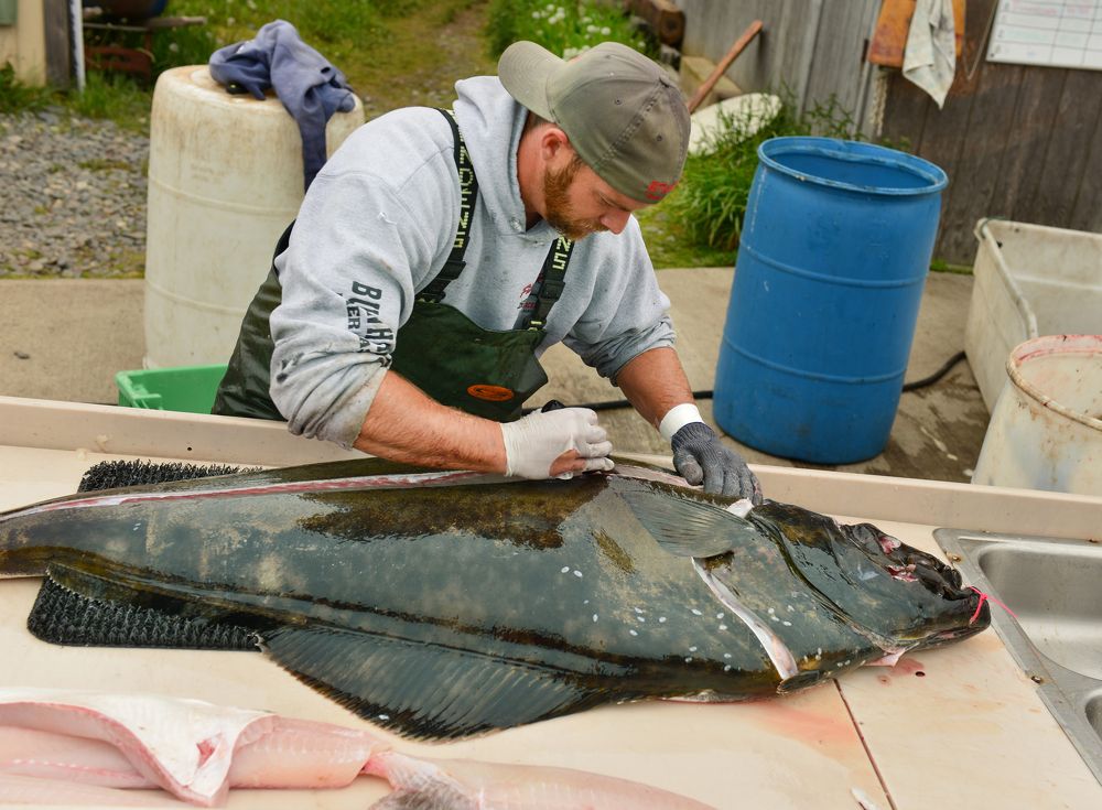 Photograph by NADEZHDA PELYMSKAIA